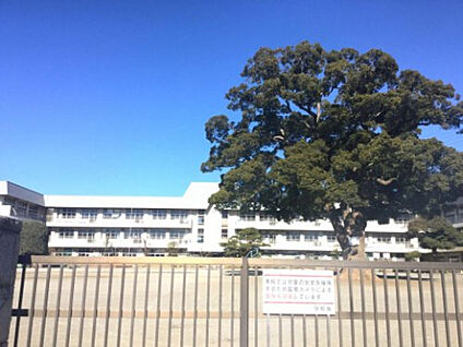 新磯小学校 357m(徒歩5分)