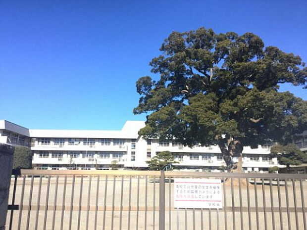 新磯小学校（約357m）