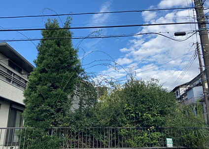物件からの展望_3