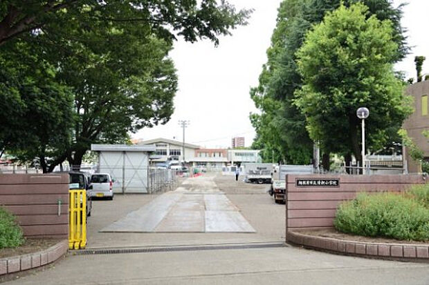 清新小学校(約513m)
