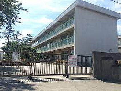 並木小学校 215m(徒歩3分)