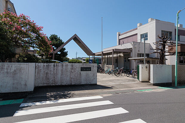 光城小学校（約240m）