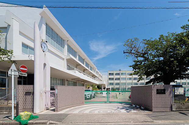 上野小学校（約480m）