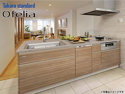 オフェリアシステムキッチン（タカラスタンダード）