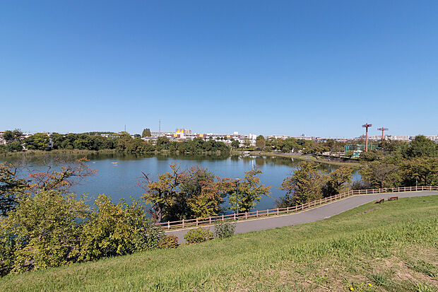 新海池公園（約320m）