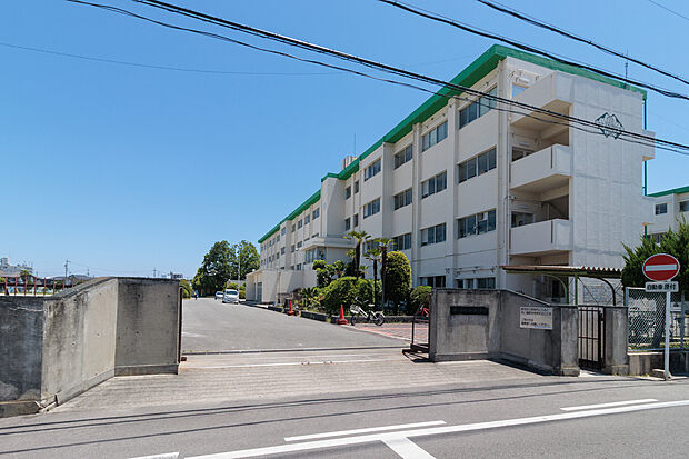 柏原小学校（約560m）