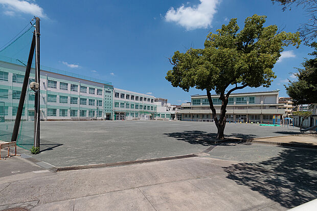 春岡小学校（約480m）