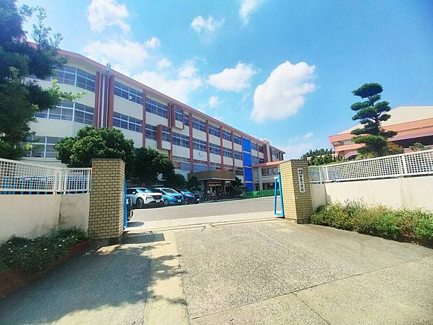 福岡市立田島小学校(約593m)