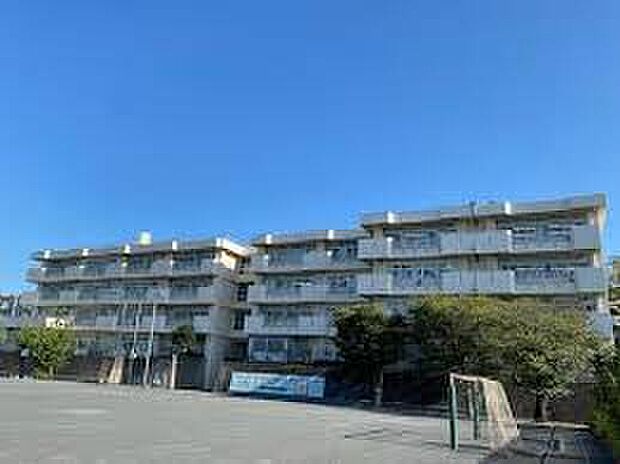 横浜市立桜井小学校（約640m）