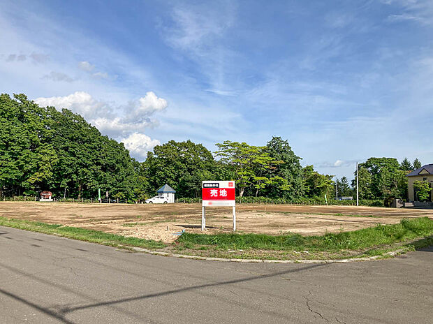 【現地写真】
現在更地のため、土地の状態もご確認いただけ、広さや建築後のイメージもしやすいですね。
(2025年9月撮影)