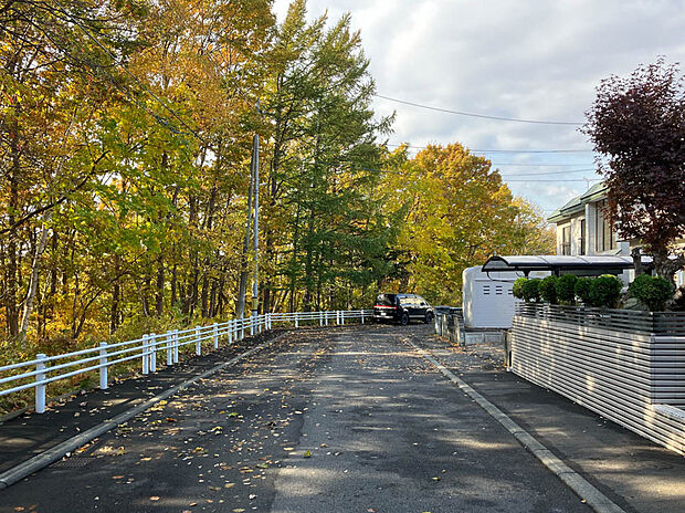 【現地写真】
自然豊かな暮らしをお楽しみいただけるロケーションです。季節の移ろいを感じながらのびのびと過ごせます。
（2025年10月撮影）