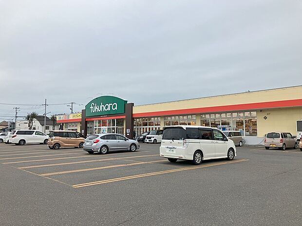 フクハラ自由が丘店（約300m）