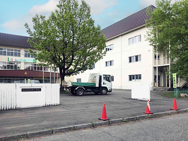 柏小学校（約650m）