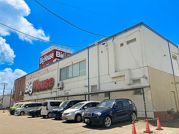 ビックハウス恵庭店(約650m)