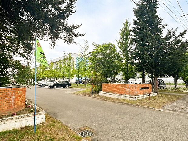 緑小学校（約600m）