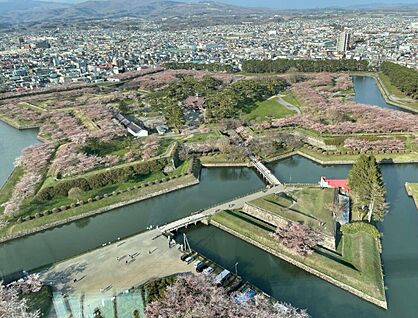 五稜郭公園 550m(徒歩7分)