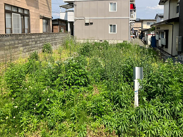 【現地写真】
現在更地のため、土地の状態もご確認いただけ、広さや建築後のイメージもしやすいですね。
(2025年6月撮影）