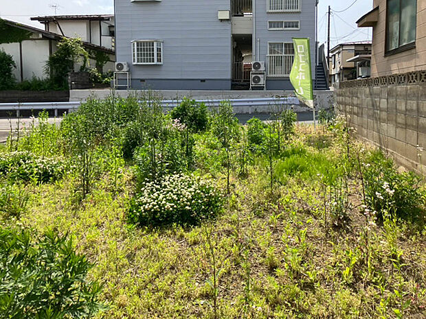 【現地写真】
最寄りバス停「大新町」停まで徒歩約1分とバスアクセス良好。雨の日やお荷物の多い時にも便利ですね。
(2025年6月撮影）
