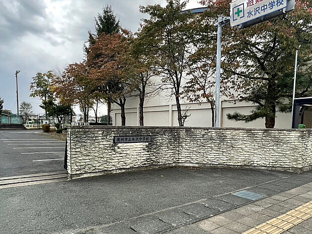 水沢中学校(約600m)