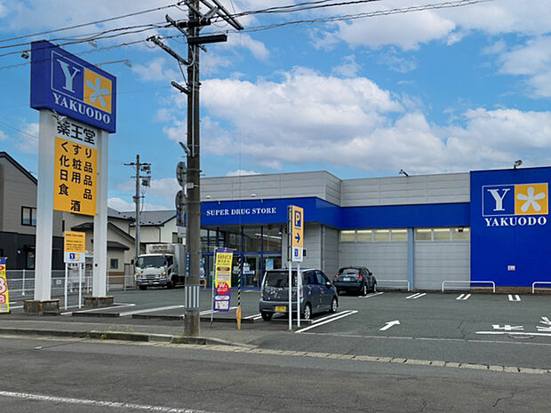 薬王堂 盛岡青山店（約900m）