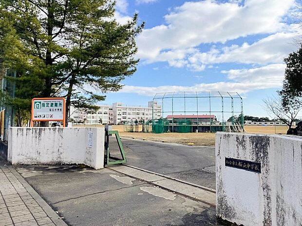 桜丘中学校(約1,100m)