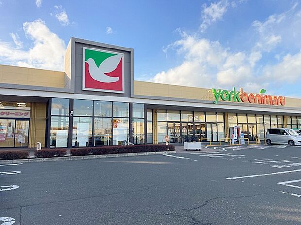 ヨークベニマル名取バイパス店（約500m）