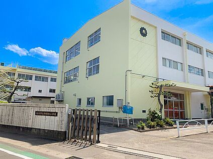 向陽台小学校 600m(徒歩8分)
