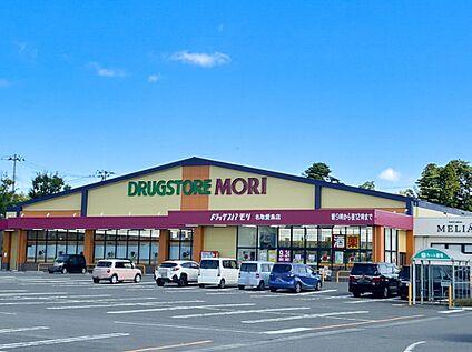 ドラッグストアモリ名取愛島店 950m(徒歩12分)