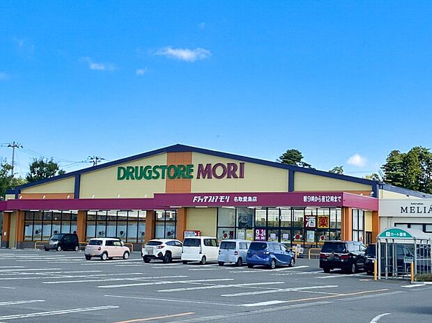 ドラッグストアモリ名取愛島店(約950m)