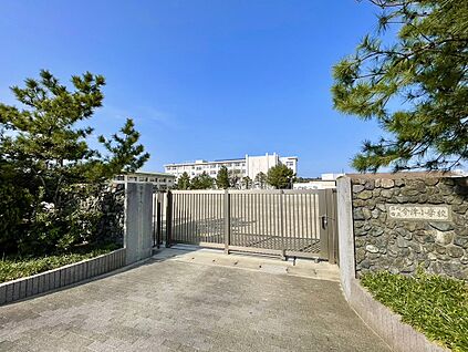 福岡市立今津小学校  550m