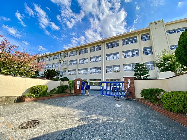 福岡市立片江小学校（約1,537m）