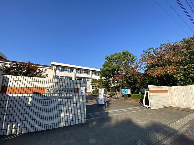 福岡市立千早西小学校(約300m)