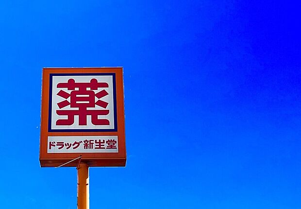 ドラッグ新生堂加布里店（約350m）