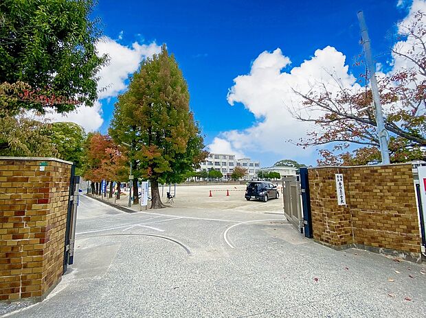福岡市立香住丘小学校（約500m）