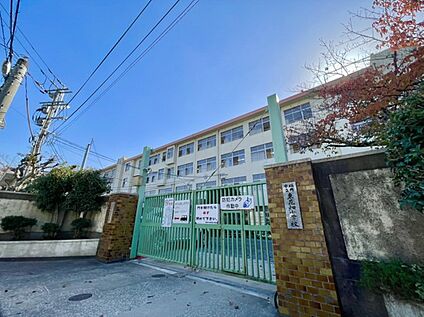 福岡市立東花畑小学校 1100ｍ