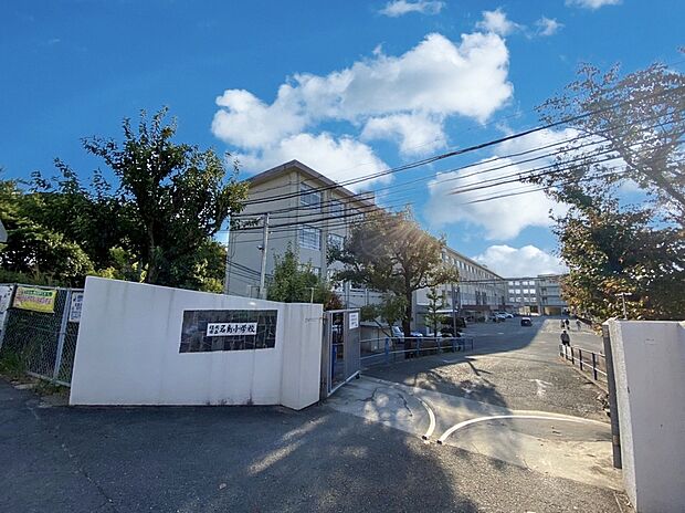 福岡市立名島小学校（約1,100m）