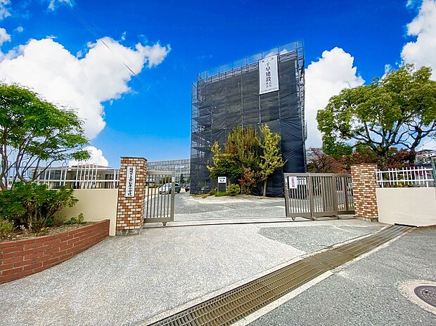 福岡市立舞松原小学校(約500m)