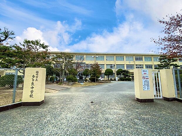 福岡市立多々良中学校(約500m)