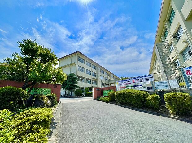 福岡市立梅林中学校(約1,086m)