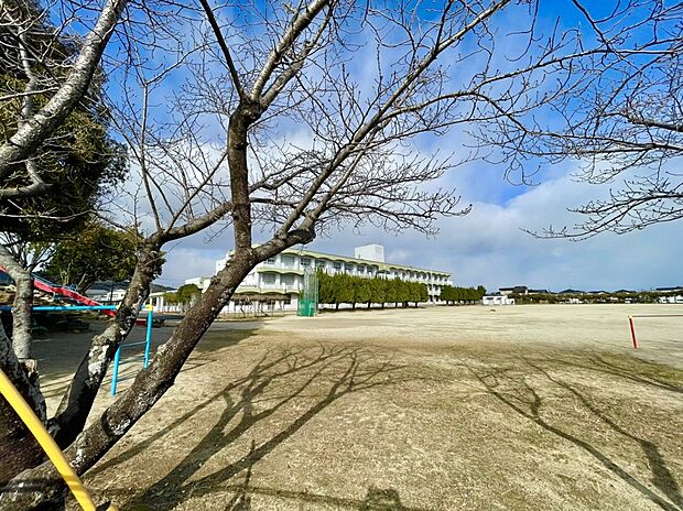 鳥栖市立若葉小学校（約390m）