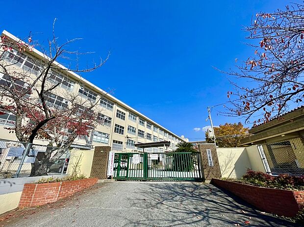 福岡市立鶴田小学校（約750m）