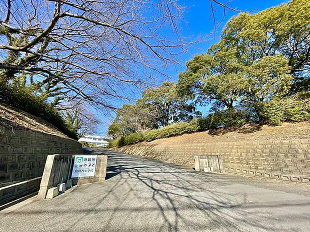 鳥栖市立鳥栖中学校（約875m）