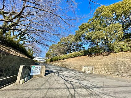 鳥栖市立鳥栖西中学校 3178ｍ