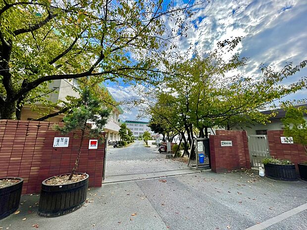 福岡市立野多目小学校(約375m)