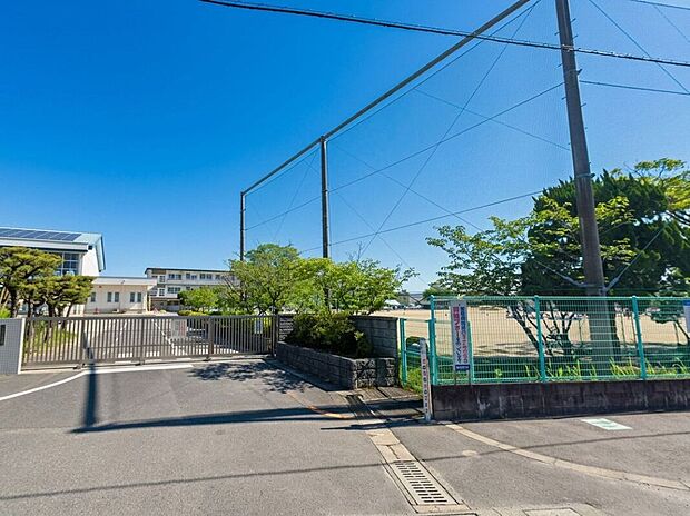 佐賀市立高木瀬小学校(約666m)