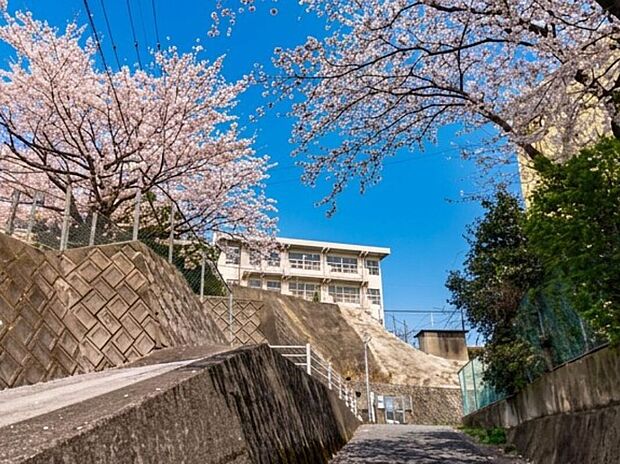 北九州市立南小倉中学校(約1,200m)