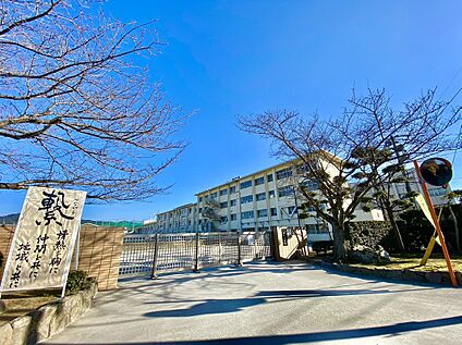 久留米市立明 星中学校  858m