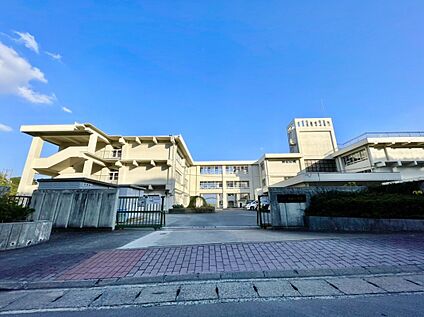 福岡市立柏原小学校 931ｍ
