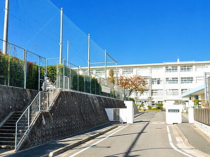 福岡市立西陵中学校 850m