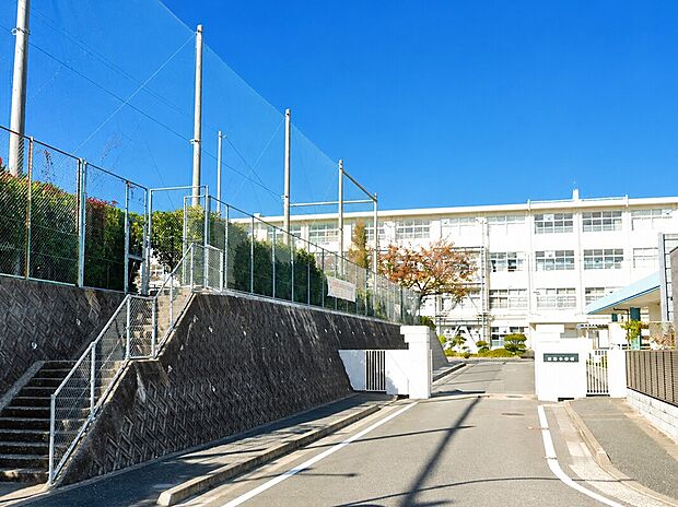 福岡市立西陵中学校(約850m)